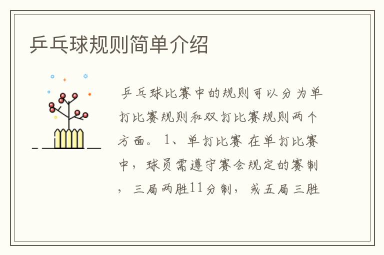 乒乓球规则简单介绍