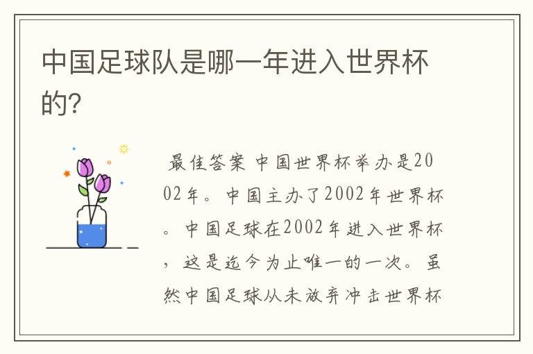 中国足球队是哪一年进入世界杯的？