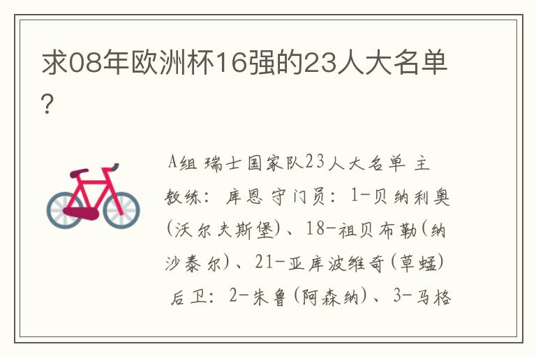 求08年欧洲杯16强的23人大名单?