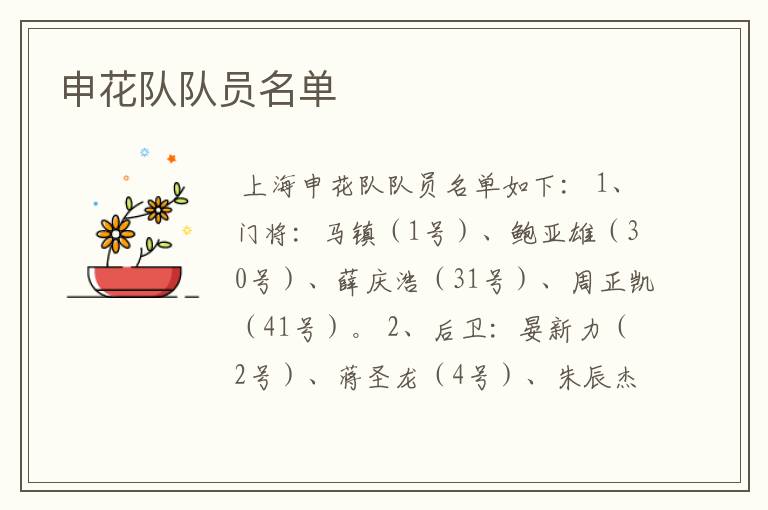 申花队队员名单