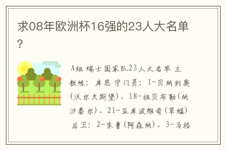 求08年欧洲杯16强的23人大名单?