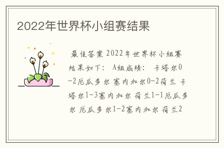 2022年世界杯小组赛结果