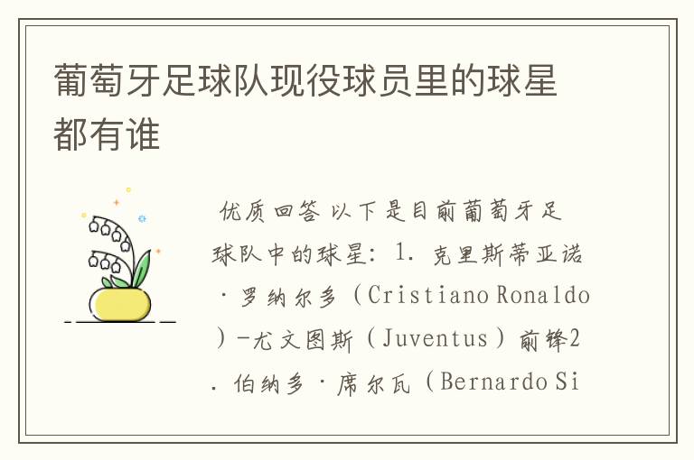 葡萄牙足球队现役球员里的球星都有谁