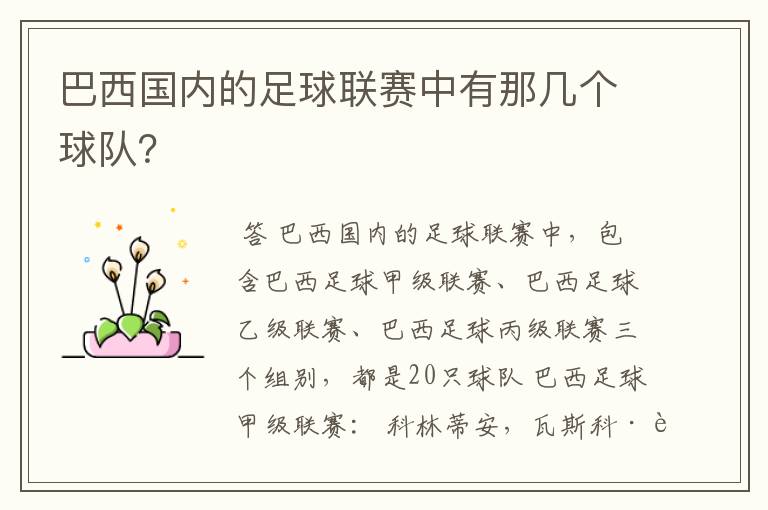 巴西国内的足球联赛中有那几个球队?