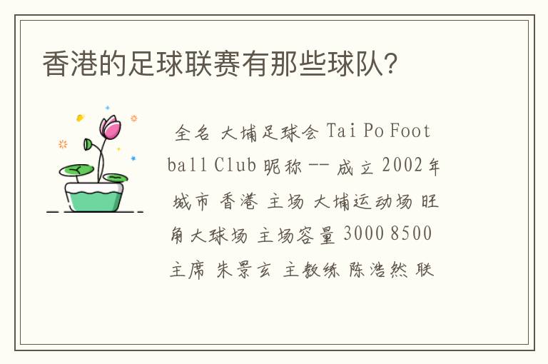 香港的足球联赛有那些球队?