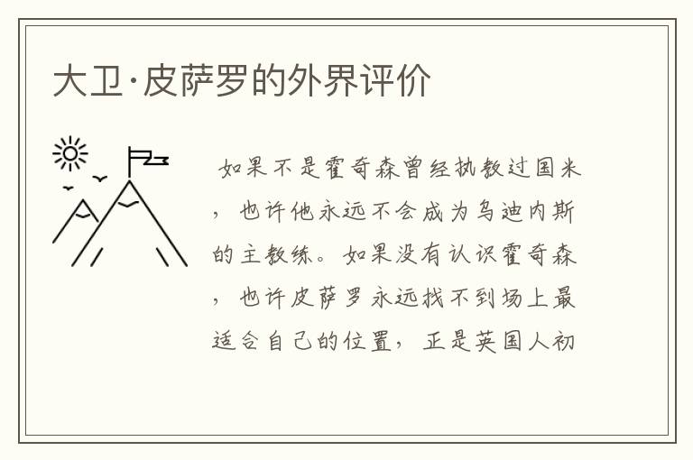 大卫·皮萨罗的外界评价