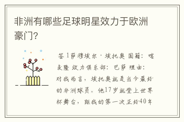非洲有哪些足球明星效力于欧洲豪门?
