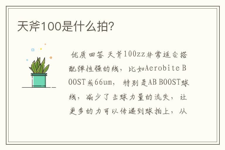 天斧100是什么拍?