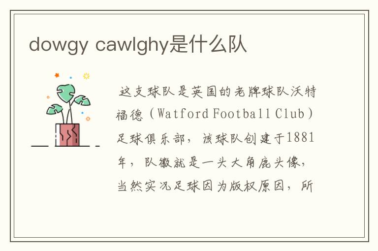 dowgy cawlghy是什么队