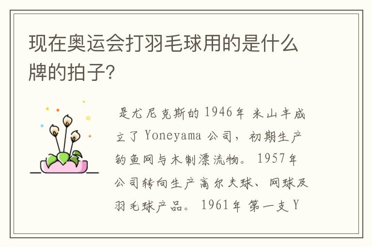 现在奥运会打羽毛球用的是什么牌的拍子?