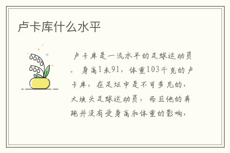 卢卡库什么水平