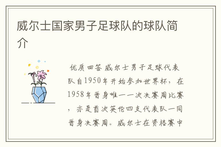 威尔士国家男子足球队的球队简介
