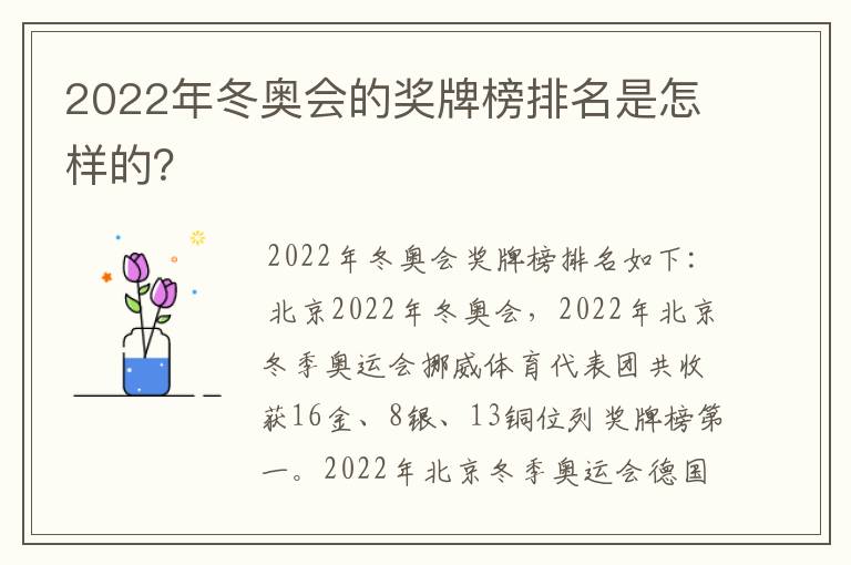 2022年冬奥会的奖牌榜排名是怎样的?