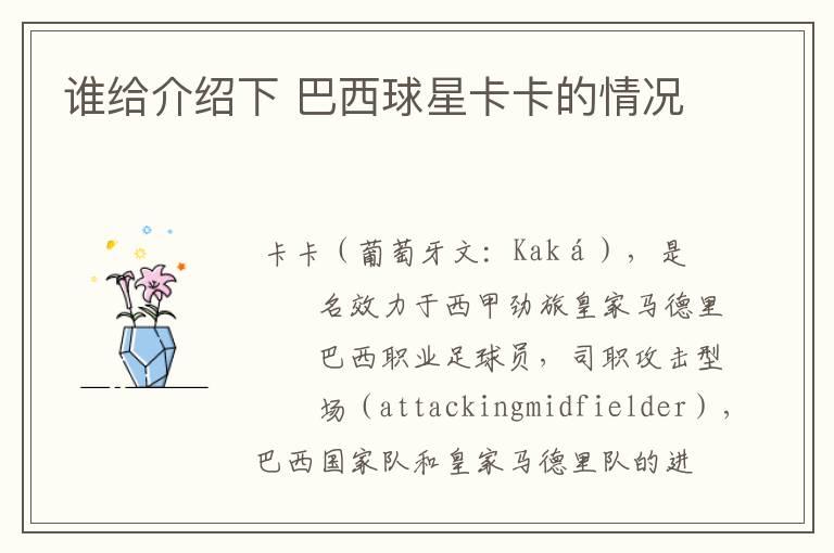 谁给介绍下 巴西球星卡卡的情况