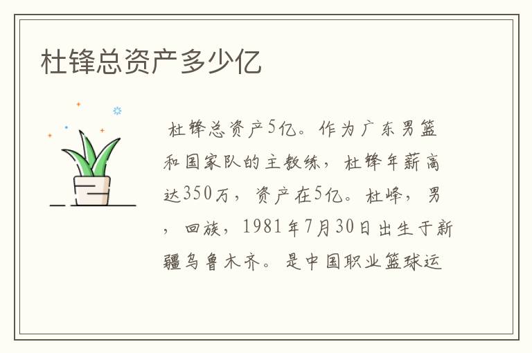 杜锋总资产多少亿