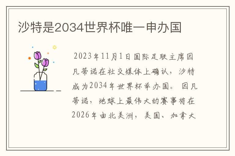沙特是2034世界杯唯一申办国
