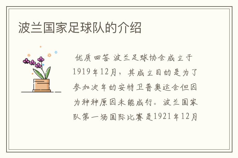 波兰国家足球队的介绍