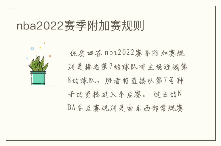 nba2022赛季附加赛规则