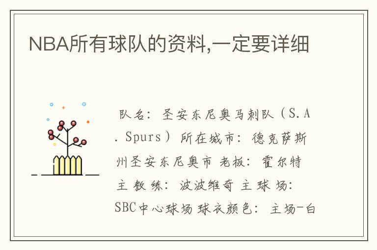 NBA所有球队的资料,一定要详细