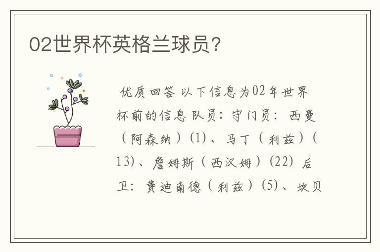 02世界杯英格兰球员?