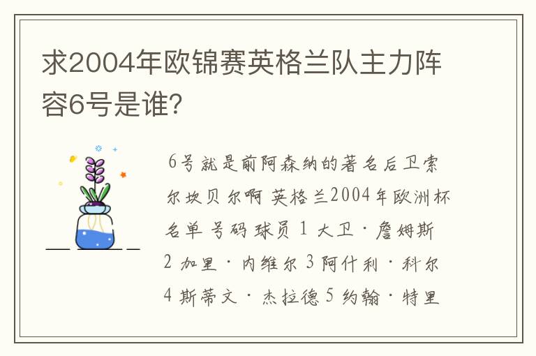 求2004年欧锦赛英格兰队主力阵容6号是谁?