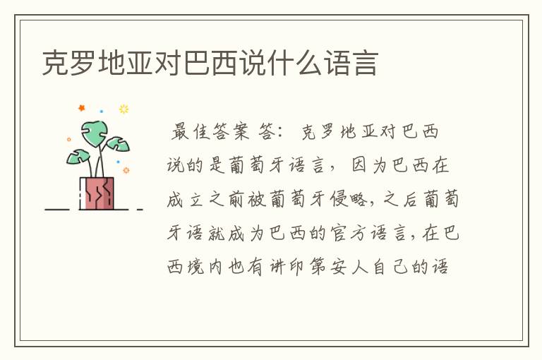 克罗地亚对巴西说什么语言