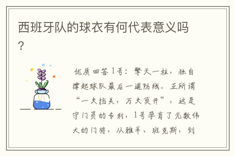 西班牙队的球衣有何代表意义吗?