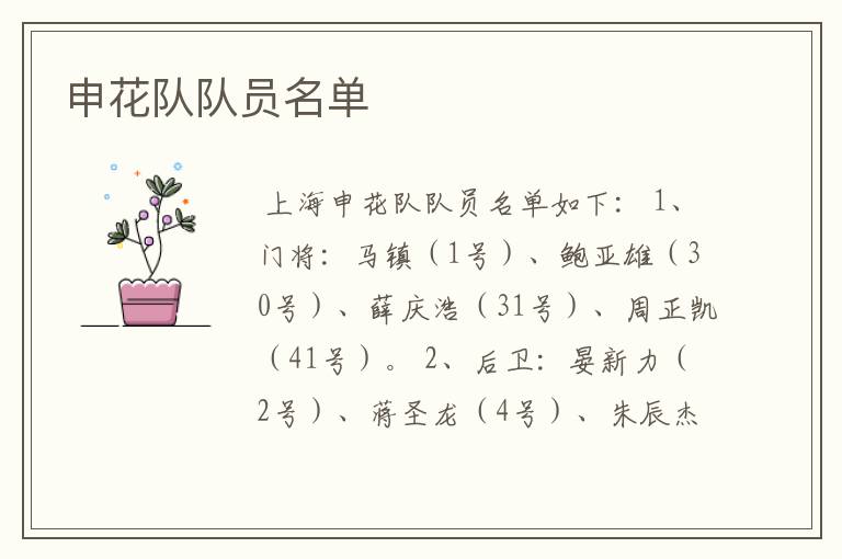 申花队队员名单