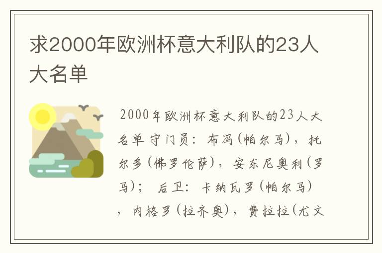 求2000年欧洲杯意大利队的23人大名单
