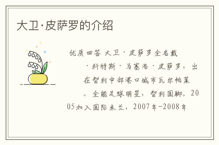 大卫·皮萨罗的介绍