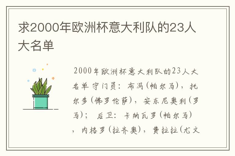 求2000年欧洲杯意大利队的23人大名单