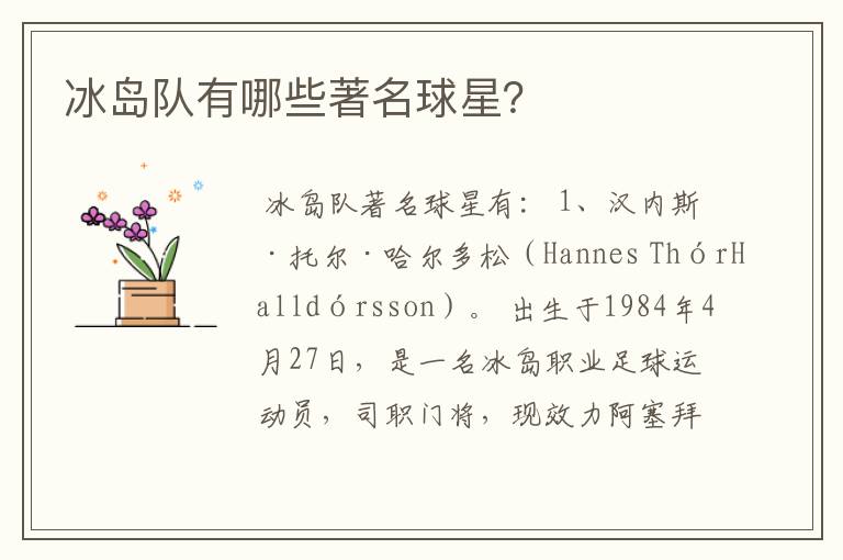 冰岛队有哪些著名球星？
