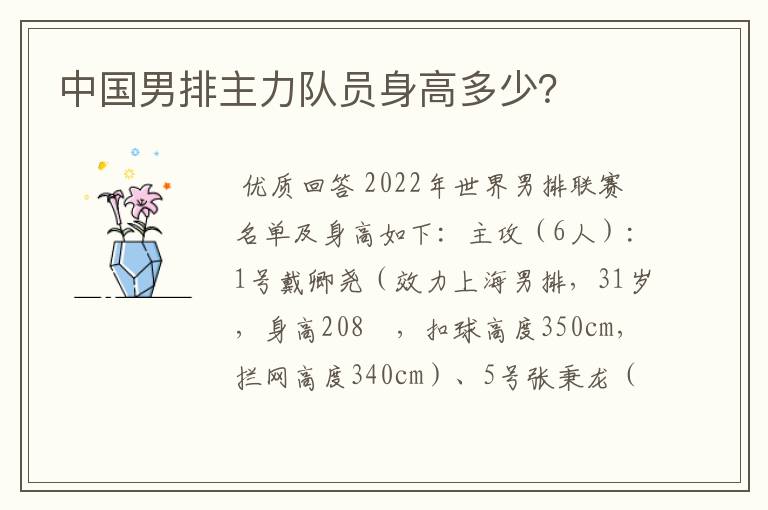 中国男排主力队员身高多少?