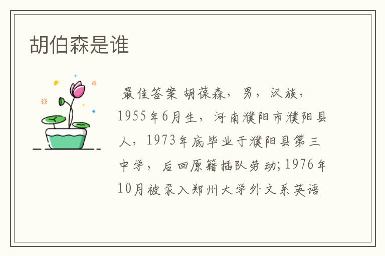 胡伯森是谁
