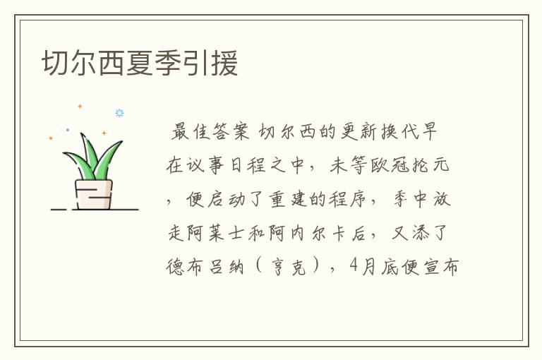 切尔西夏季引援