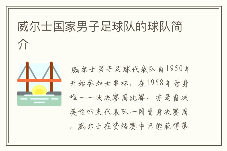威尔士国家男子足球队的球队简介