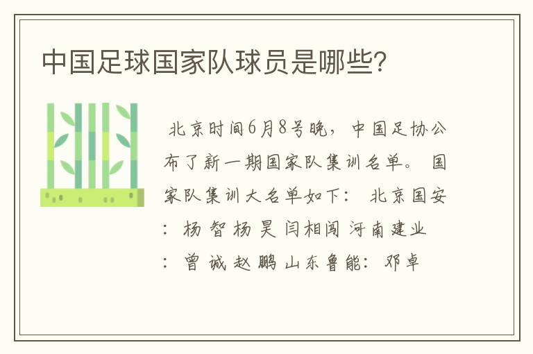 中国足球国家队球员是哪些?