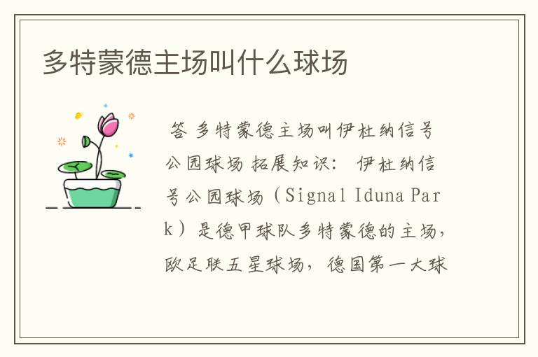 多特蒙德主场叫什么球场
