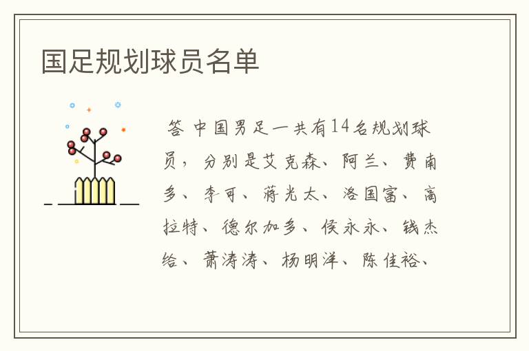 国足规划球员名单