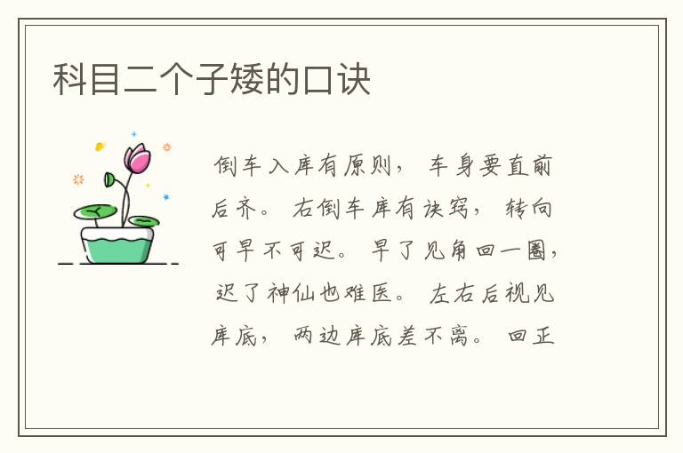 科目二个子矮的口诀