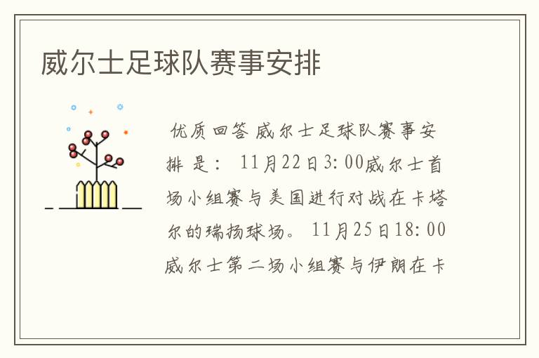 威尔士足球队赛事安排