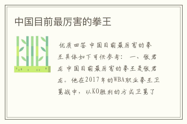 中国目前最厉害的拳王
