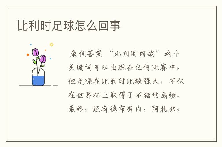 比利时足球怎么回事