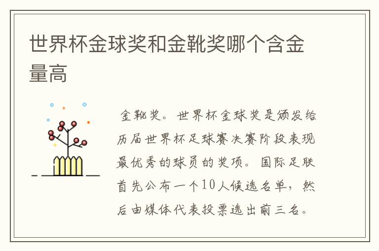 世界杯金球奖和金靴奖哪个含金量高