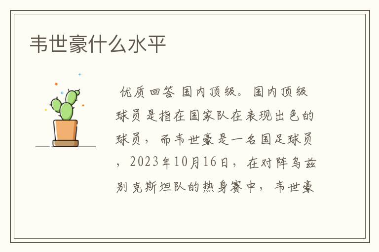 韦世豪什么水平