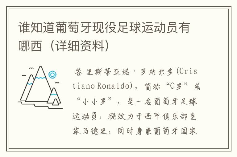 谁知道葡萄牙现役足球运动员有哪西（详细资料）
