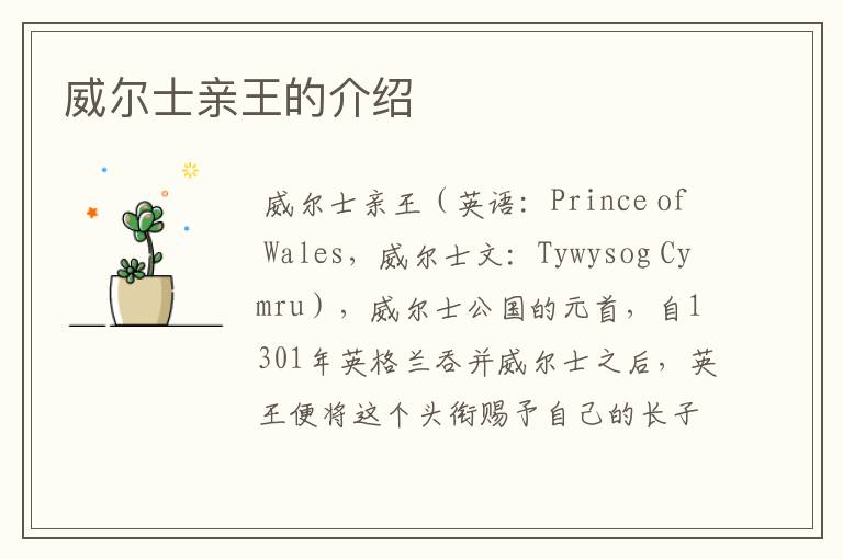 威尔士亲王的介绍