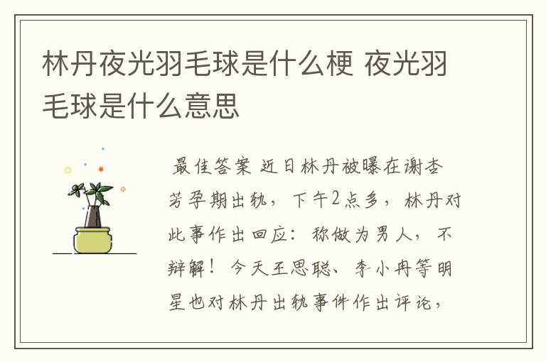 林丹夜光羽毛球是什么梗 夜光羽毛球是什么意思