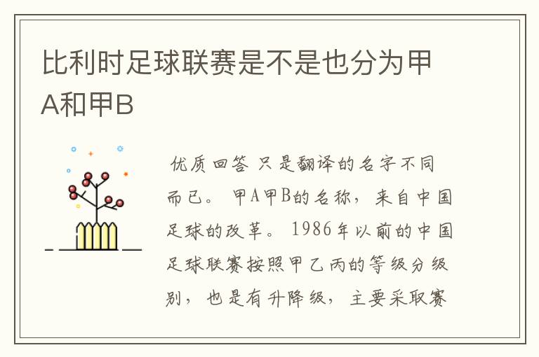 比利时足球联赛是不是也分为甲A和甲B