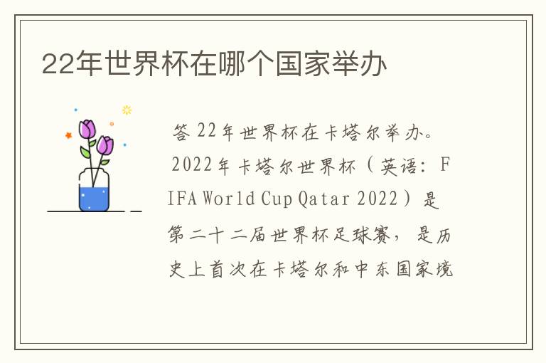 22年世界杯在哪个国家举办